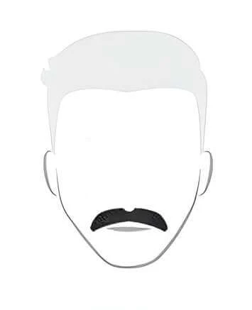 Bigode tipo morsa_style